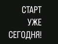 True